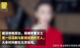 王艳家保姆的爆料视频在线观看,揭秘明星家庭真实生活